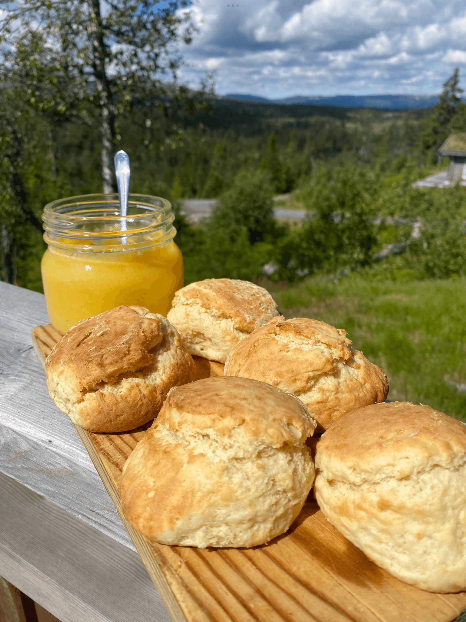 Fjeld Steinovnsbakst bilde 2